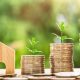 UAE VALUE ADDED TAX: WILL IT INCREASE OR DECREASE?