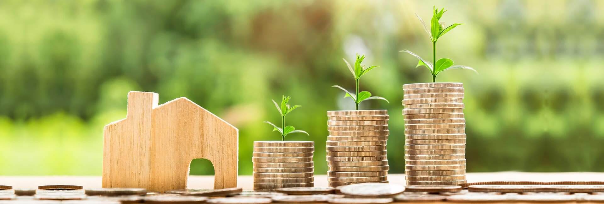 UAE VALUE ADDED TAX: WILL IT INCREASE OR DECREASE?