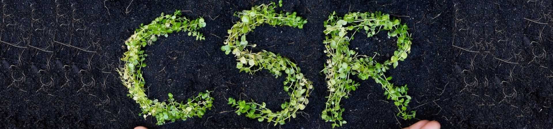 Is Your Company Compliant with UAE Corporate Social Responsibility Laws?