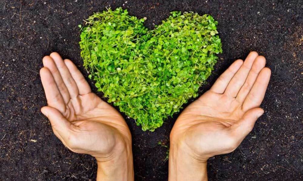 who must comply with the uae csr law