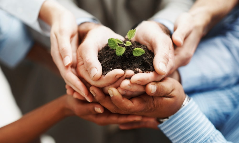 what is the rak foundation regime