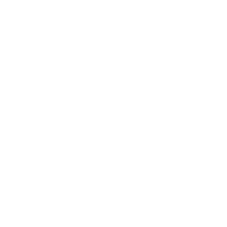 COMPANY FORMATION SAUDI ARABIA