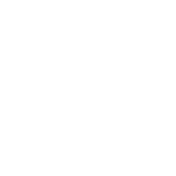 COMPANY FORMATION SAUDI ARABIA