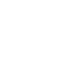 COMPANY FORMATION SAUDI ARABIA