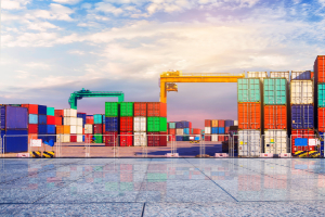 customs duties consulting services