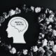 client feature may 2024 - mentl