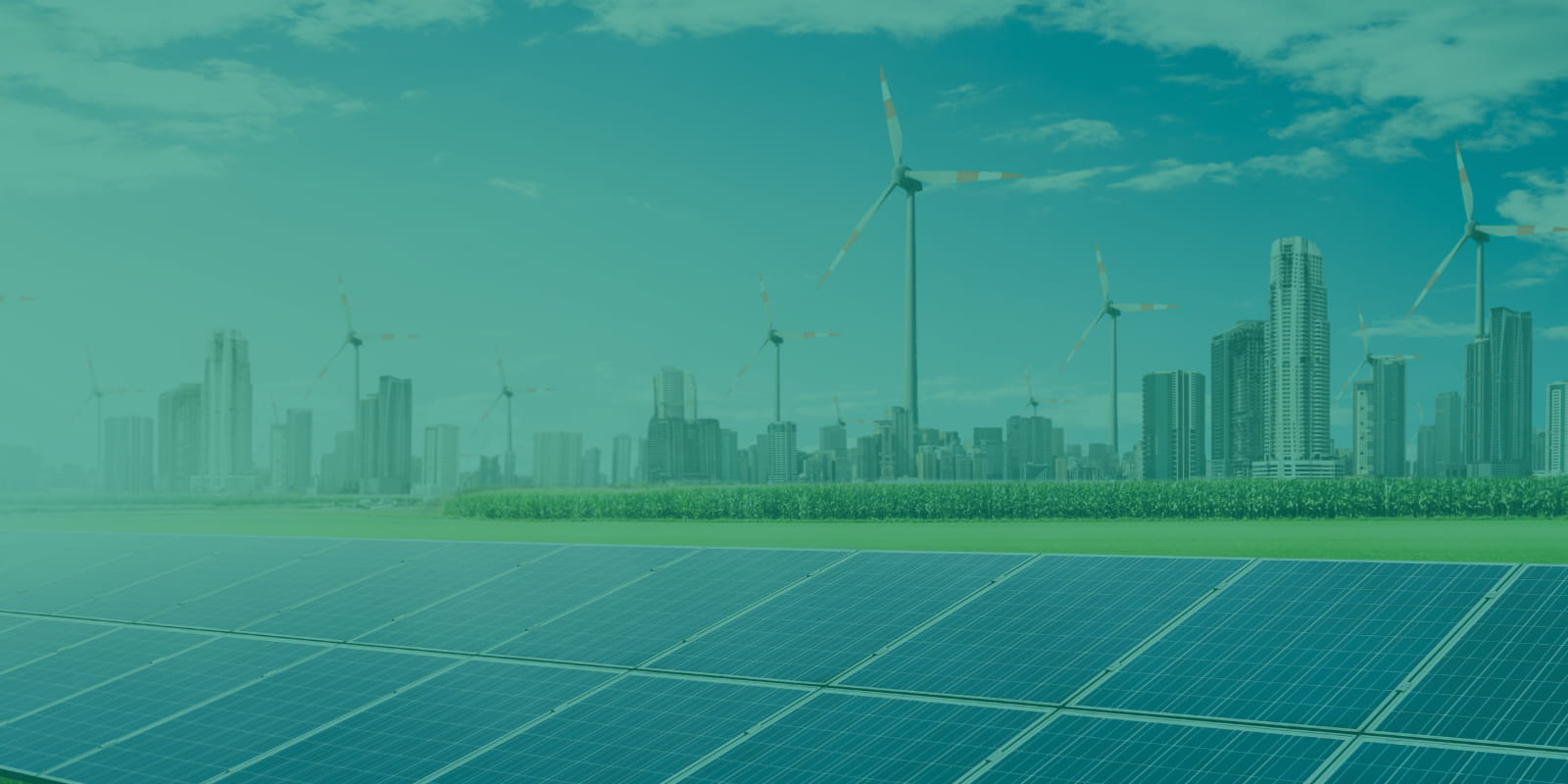 OPPORTUNITIES & CHALLENGES OF SETTING UP A RENEWABLE ENERGY COMPANY IN THE UAE