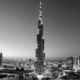 difference between excise tax and vat in the uae