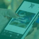 e-commerce selling into ksa from the uae customs vat returns & pe risks